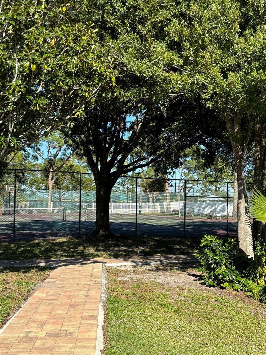 SARASOTA PALMS - Residential