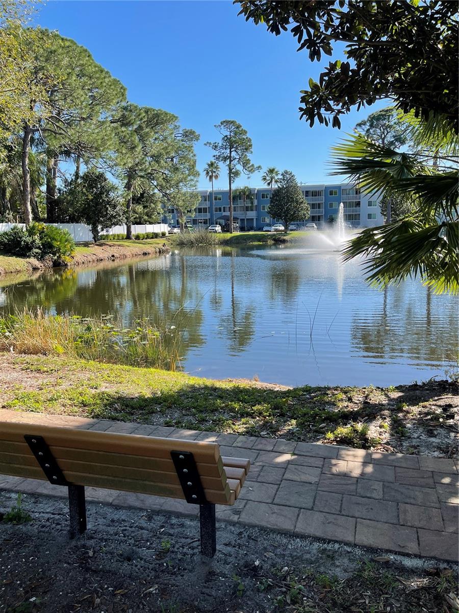 SARASOTA PALMS - Residential