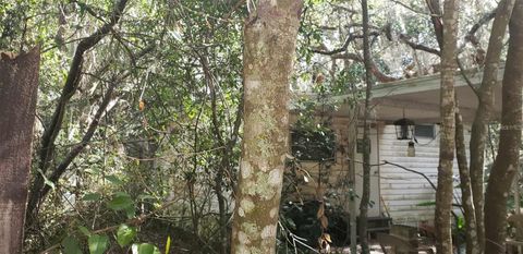 24971 NE 135TH STREET SALT SPRINGS FL 32134