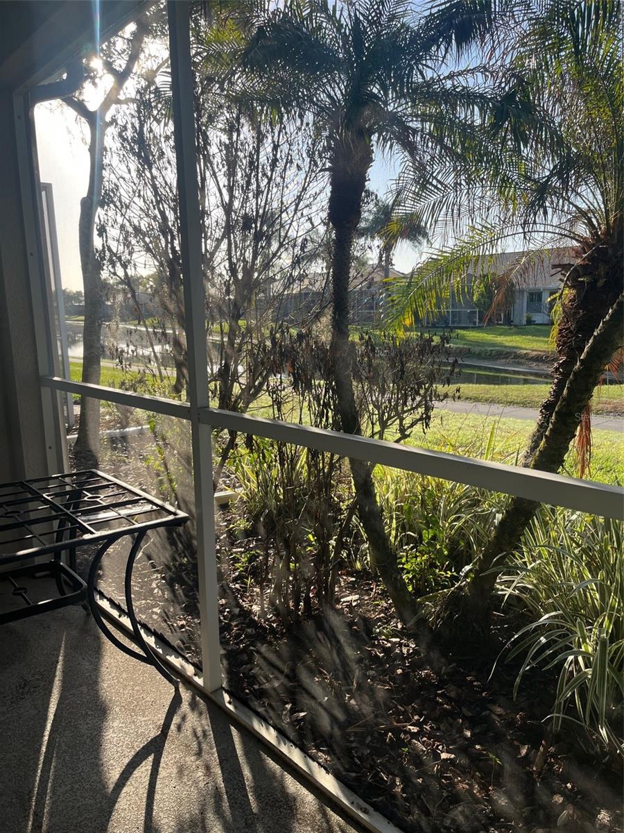 GROVES PH 02 CLUB VILLAS - Residential