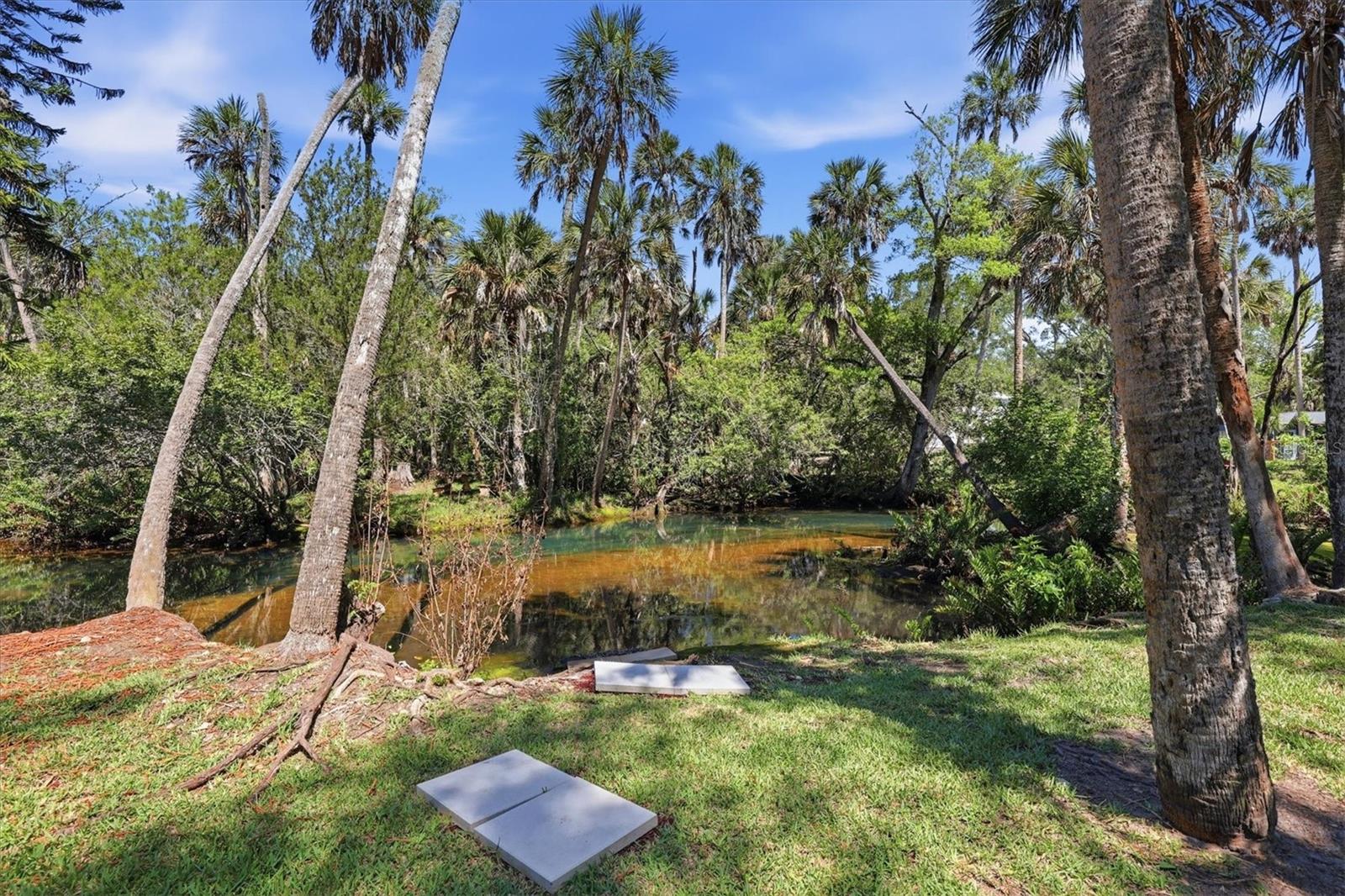 PALM GROVE COLONY - Residential
