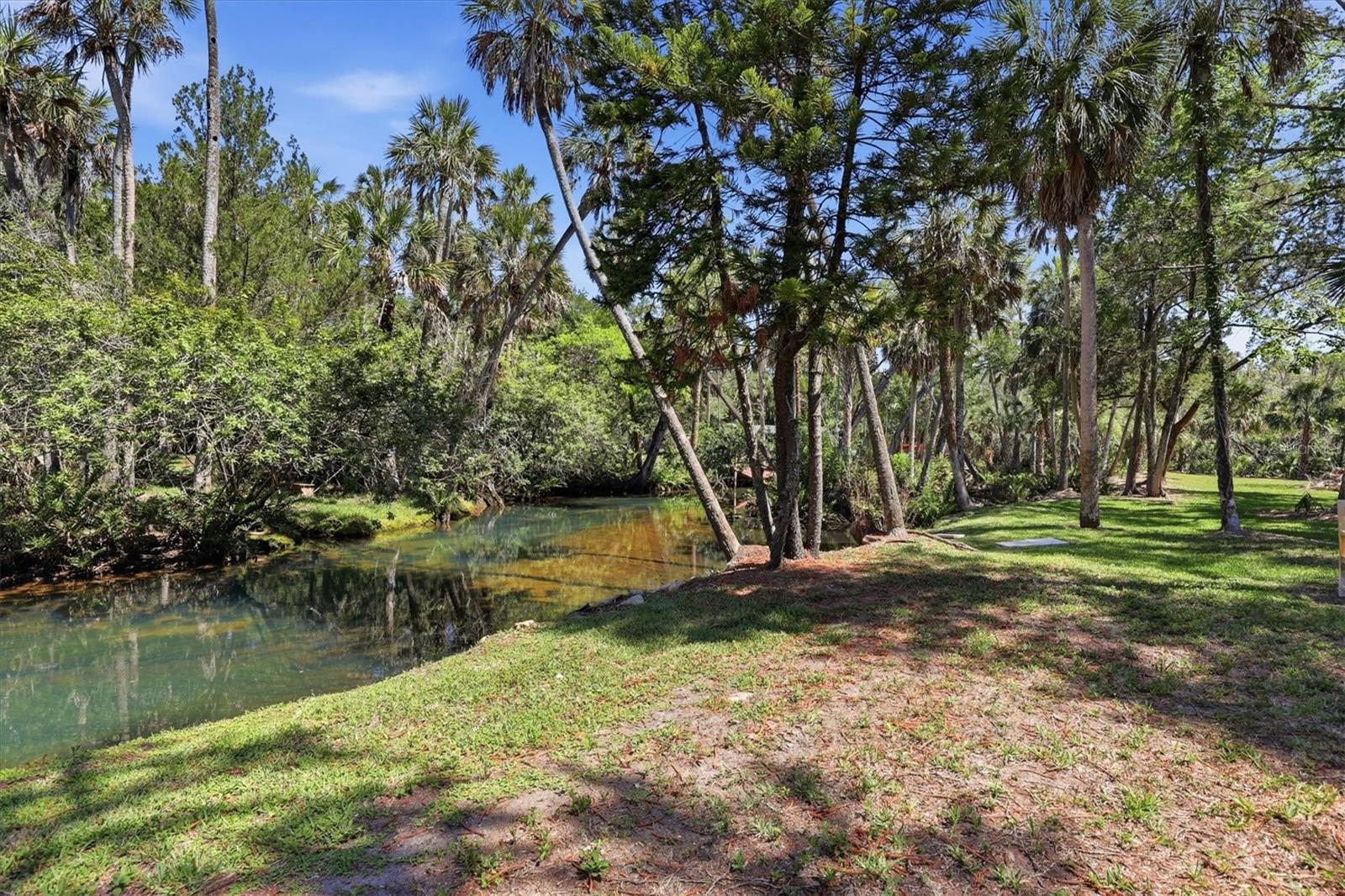 PALM GROVE COLONY - Residential