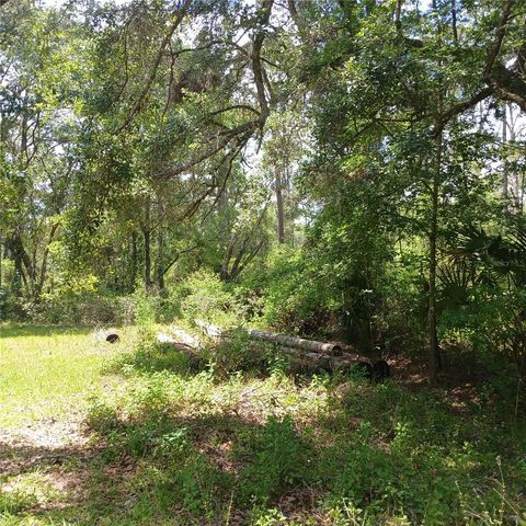 2319 W WILDFLOWER COURT DUNNELLON FL 34434