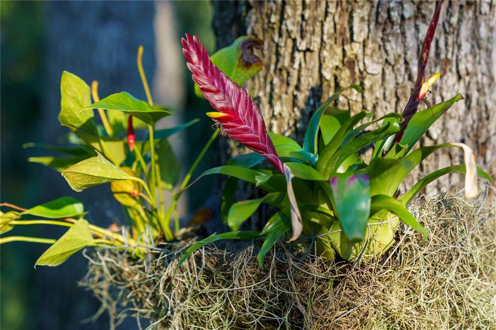 BOOTH PRESERVE - Residential
