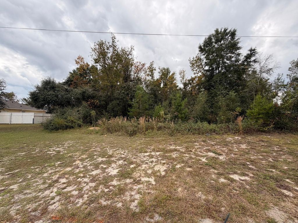 Photo of Marion Oaks Manor, Ocala, FL 34473 (MLS # O6359556)