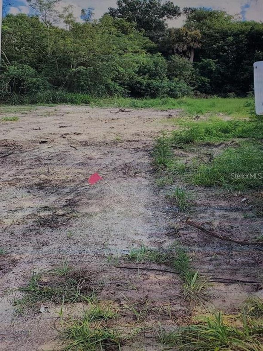 Lot is next to 3300 Lincoln on the left side of lot & 3320 Lincoln on the right side of the lot. * New Publix Grocery Store coming soon just a few blocks away * level lot 44 x 132 nice deep lot * Very close to Lake Monroe * great restaurants by the lake * very nice mall in Sanford