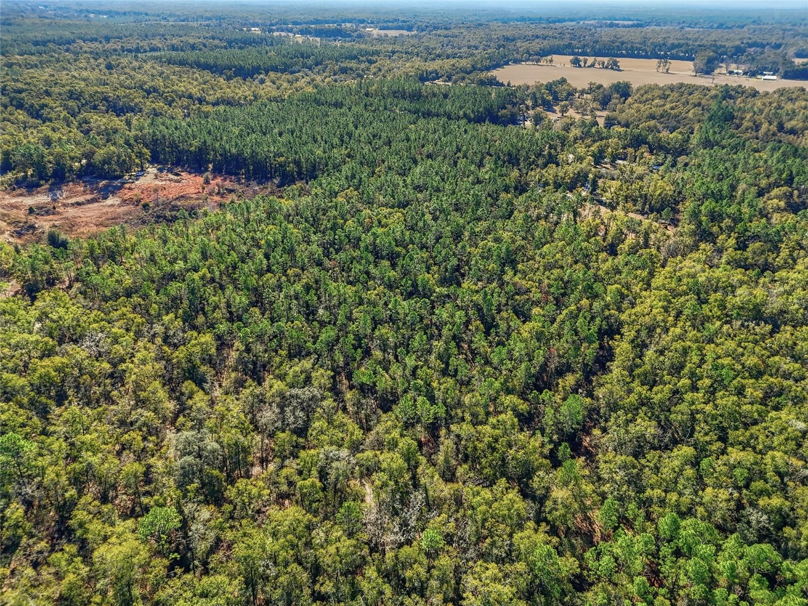 SHILOH RIDGE SUB - Residential