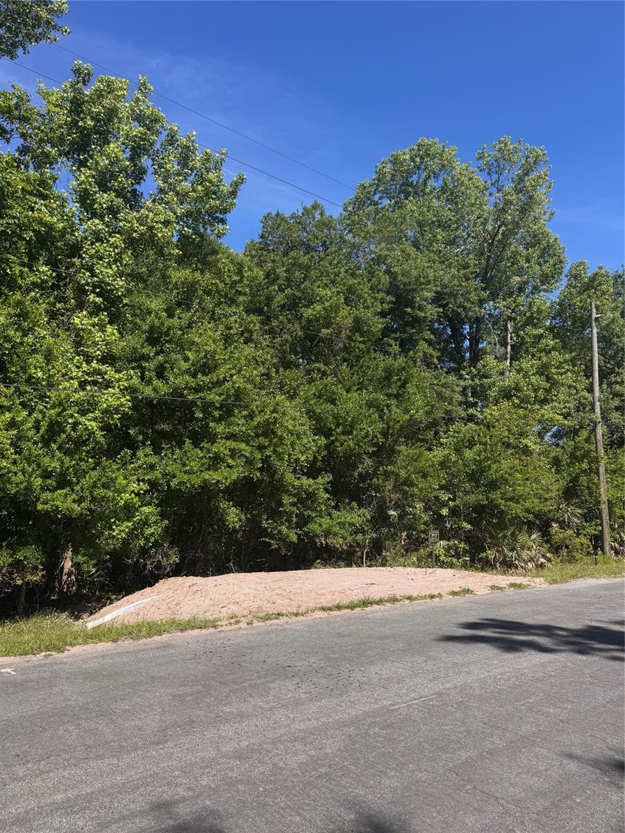 CAPE ORLANDO ESTATES - Land