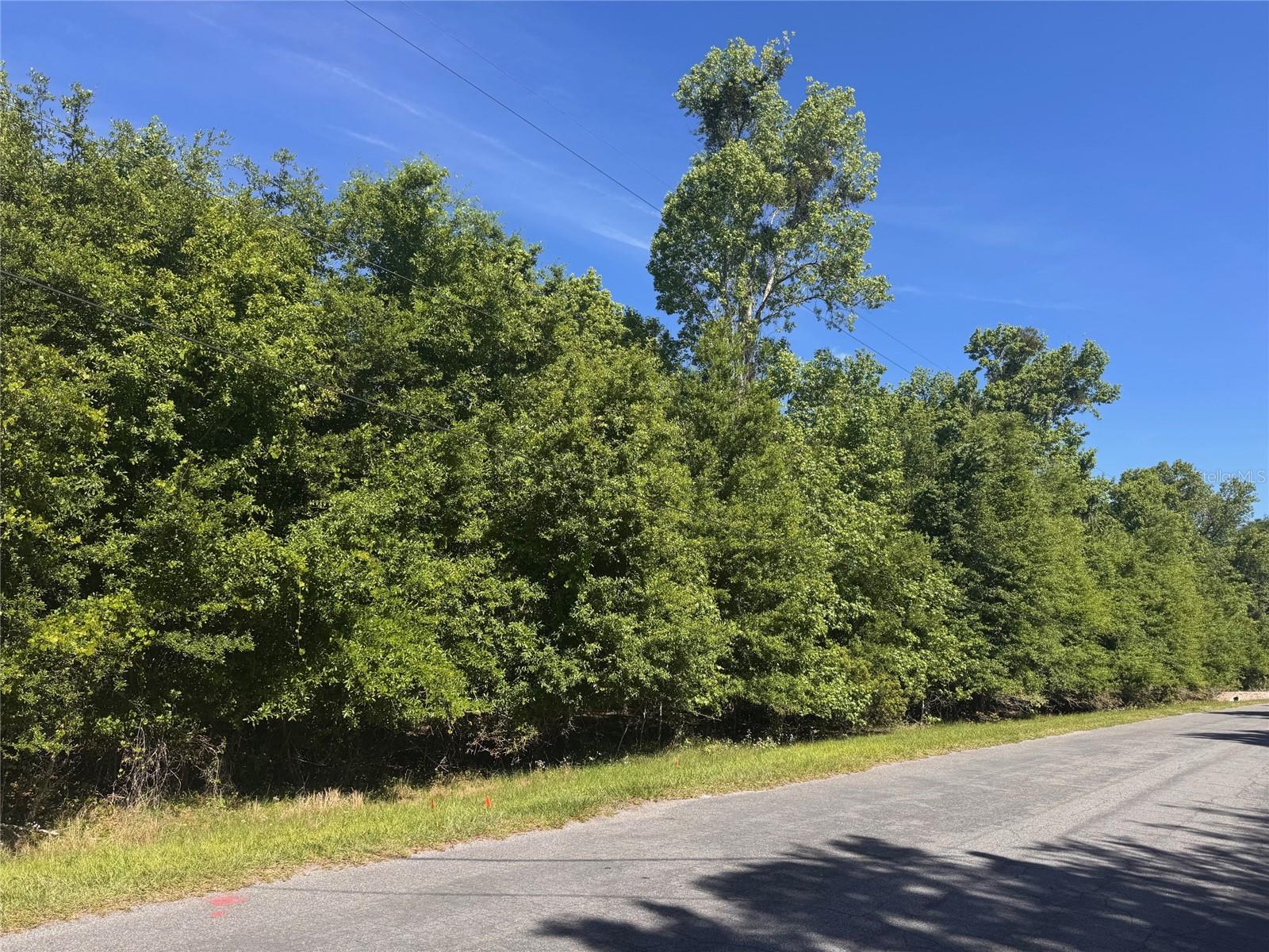 CAPE ORLANDO ESTATES - Land