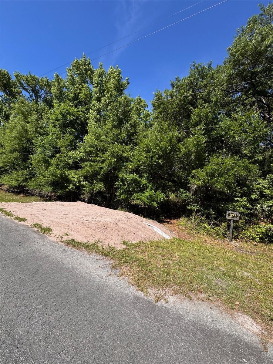 CAPE ORLANDO ESTATES - Land