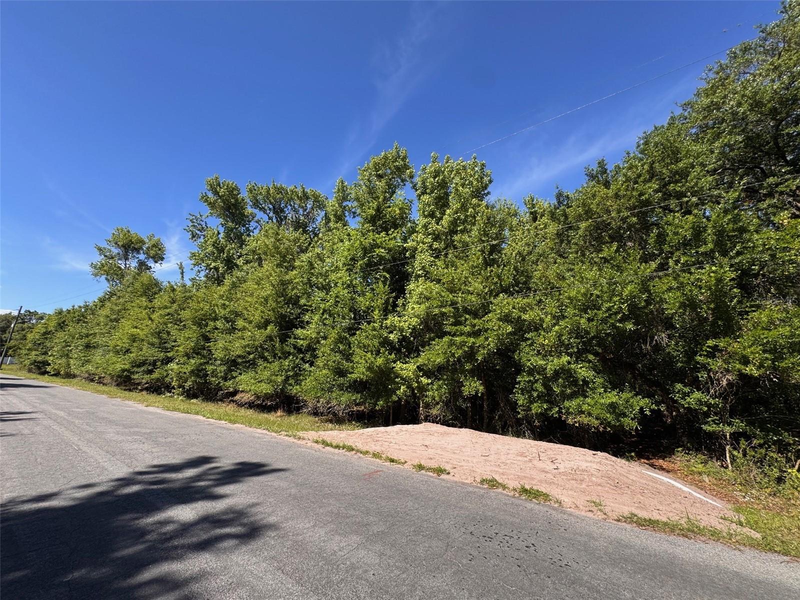 CAPE ORLANDO ESTATES - Land