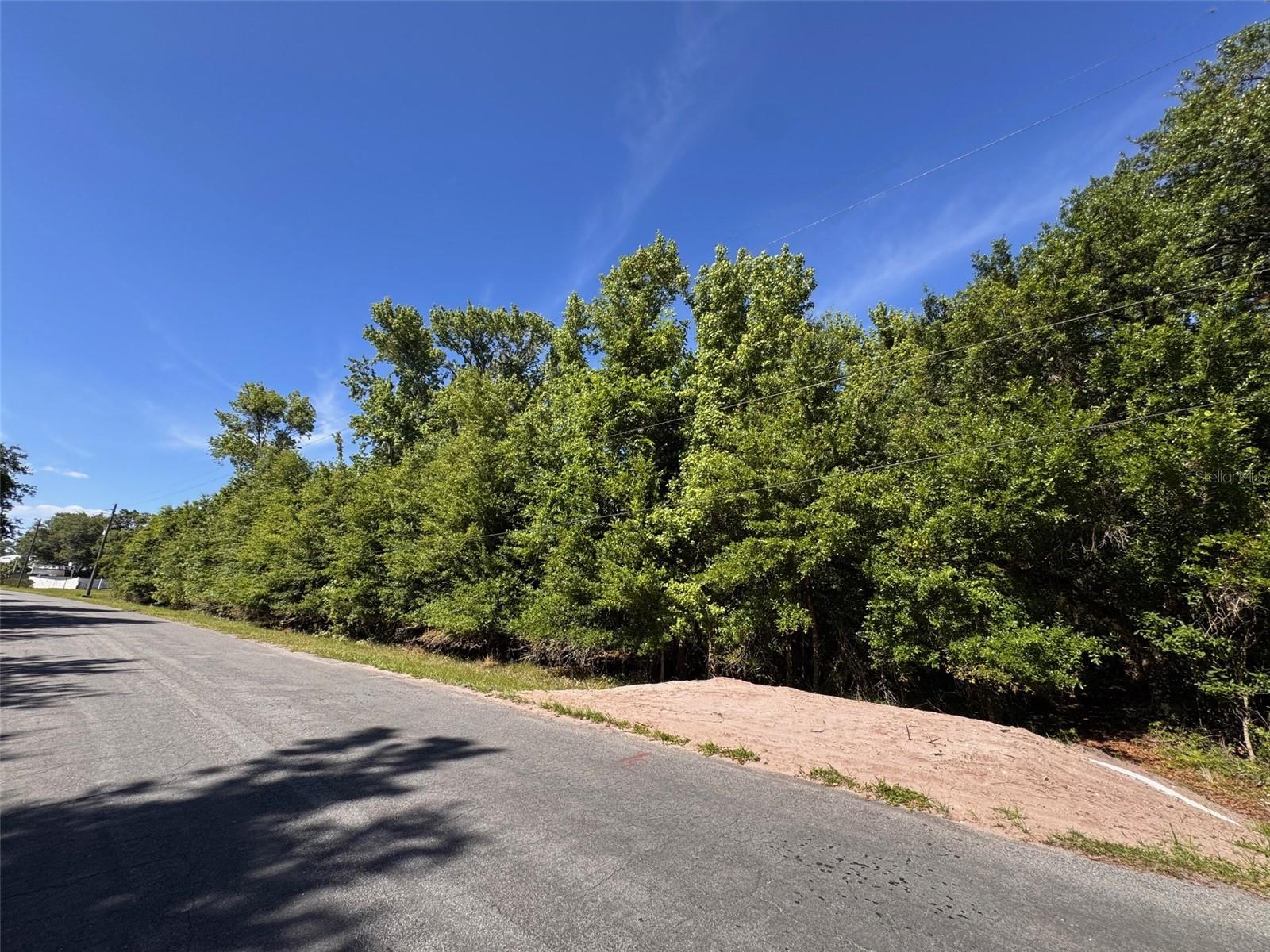 CAPE ORLANDO ESTATES - Land