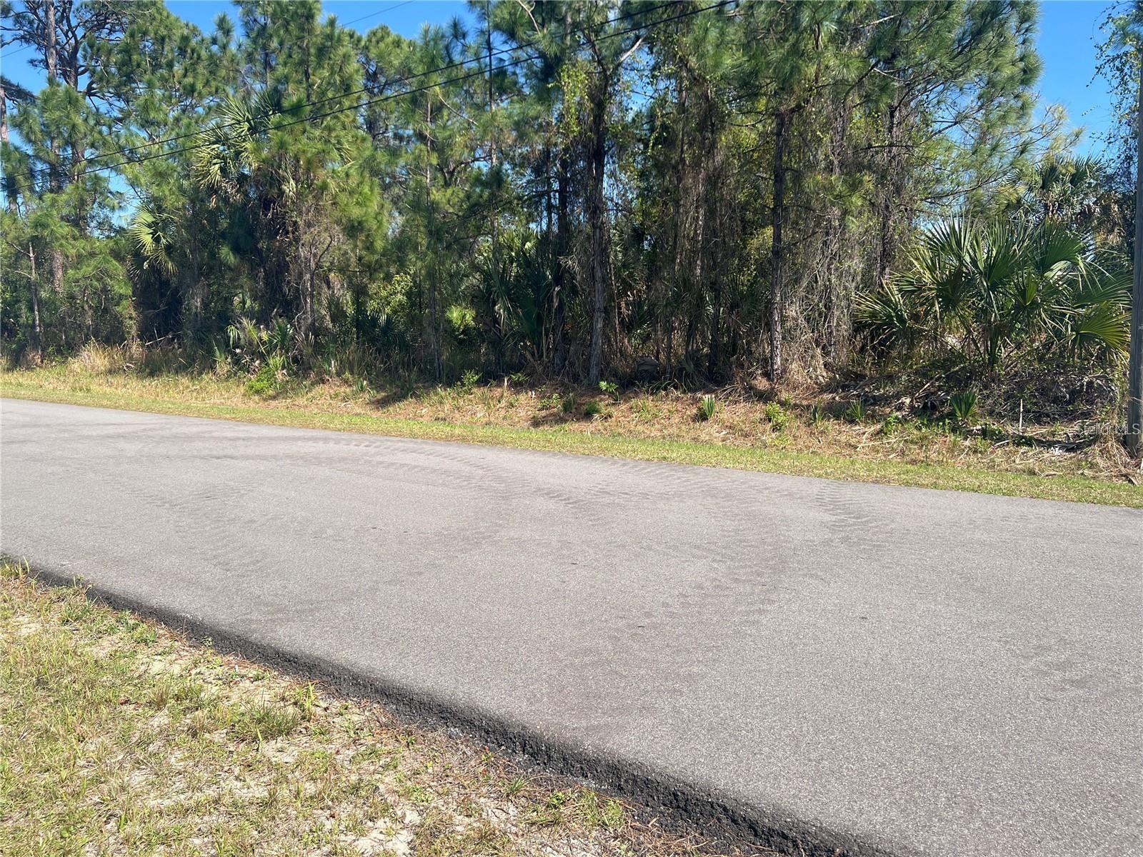 EAGLE PASS STREET
