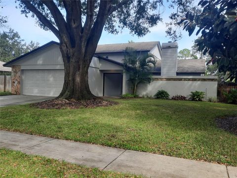 A home in TAMPA