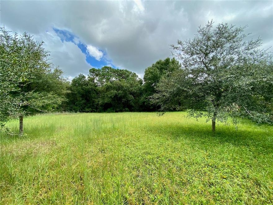 AMAZING BUILDING OPPORTUNITY! End lot, over 2.75 acres in the small gated community of Keystone Palms. Located in the cul de sac and abutting an existing concrete wall for even more privacy! Only 9 lots in the entire subdivision. Enjoy the best of both worlds by settling in to the peaceful, serene atmosphere of the Keystone area while still being an easy drive to shopping, restaurants, beaches, and the infamous Sponge Docks! Building and pet restrictions apply. See Keystone Palms Covenants, Conditions, and Restrictions for details.