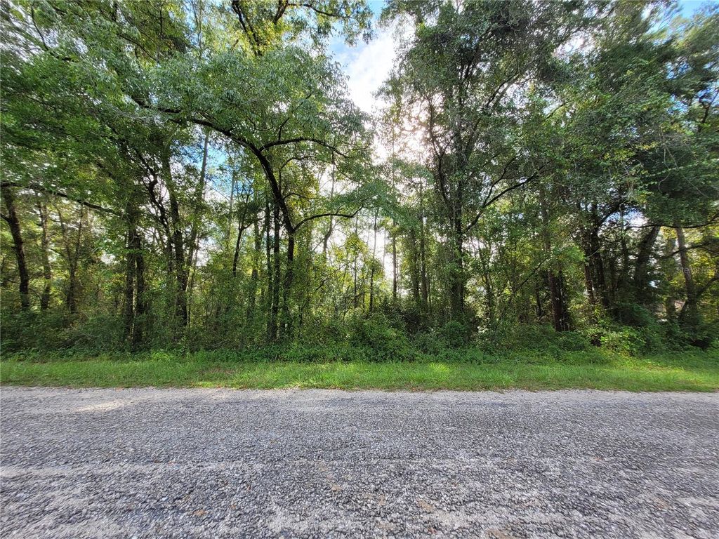 Photo of 8827 N Pelican Terrace, Dunnellon, FL 34434 (MLS # OM709334)