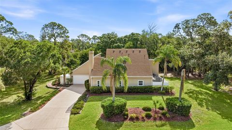 Photo of 5272 Box Turtle Circle, Sarasota, FL 34232 (MLS # A4689433)