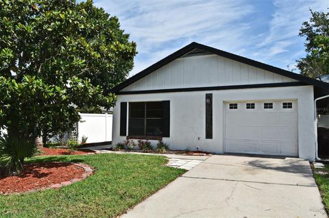 2524 SHADYBRANCH DRIVE ORLANDO FL 32822