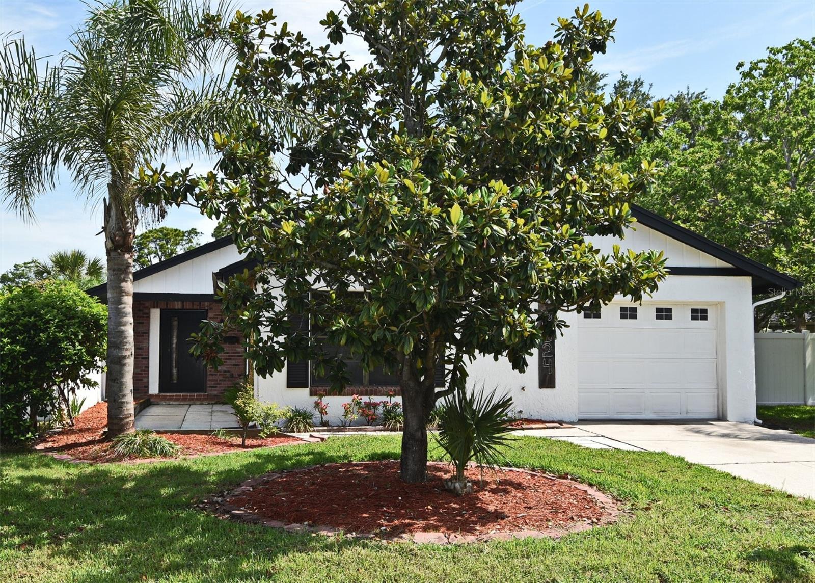 2524 SHADYBRANCH DRIVE
