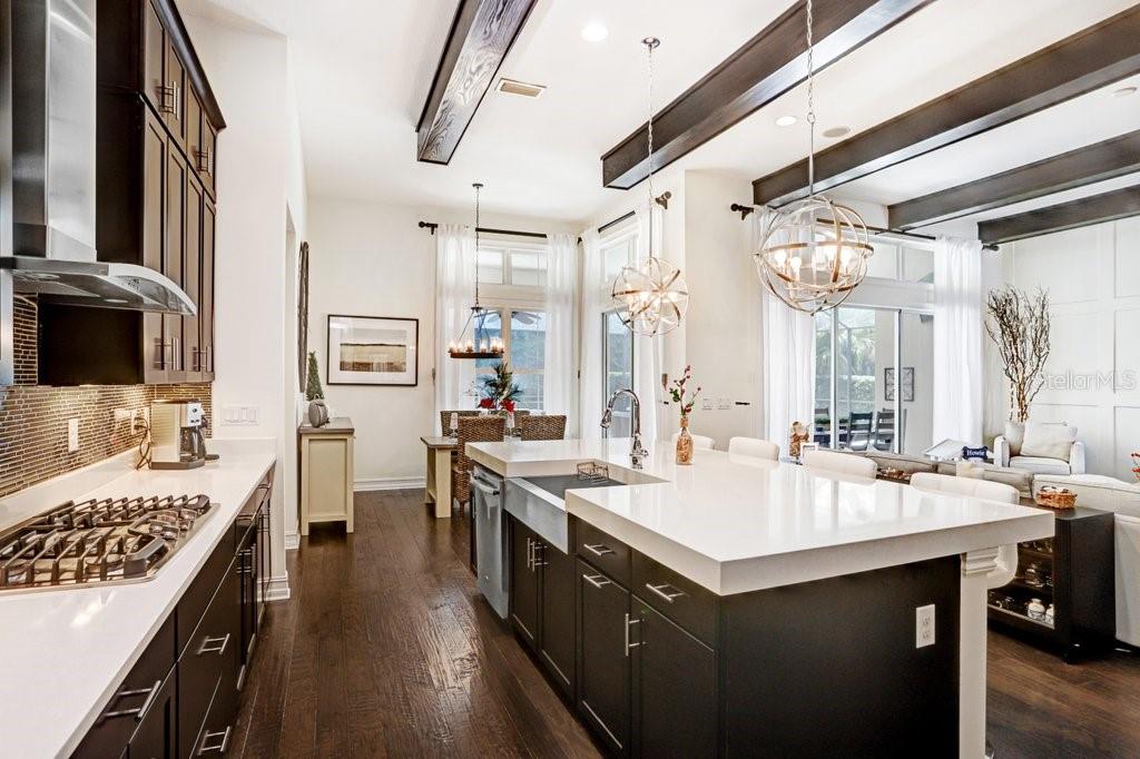 PRESERVE AT FISHHAWK RANCH PAH - Residential