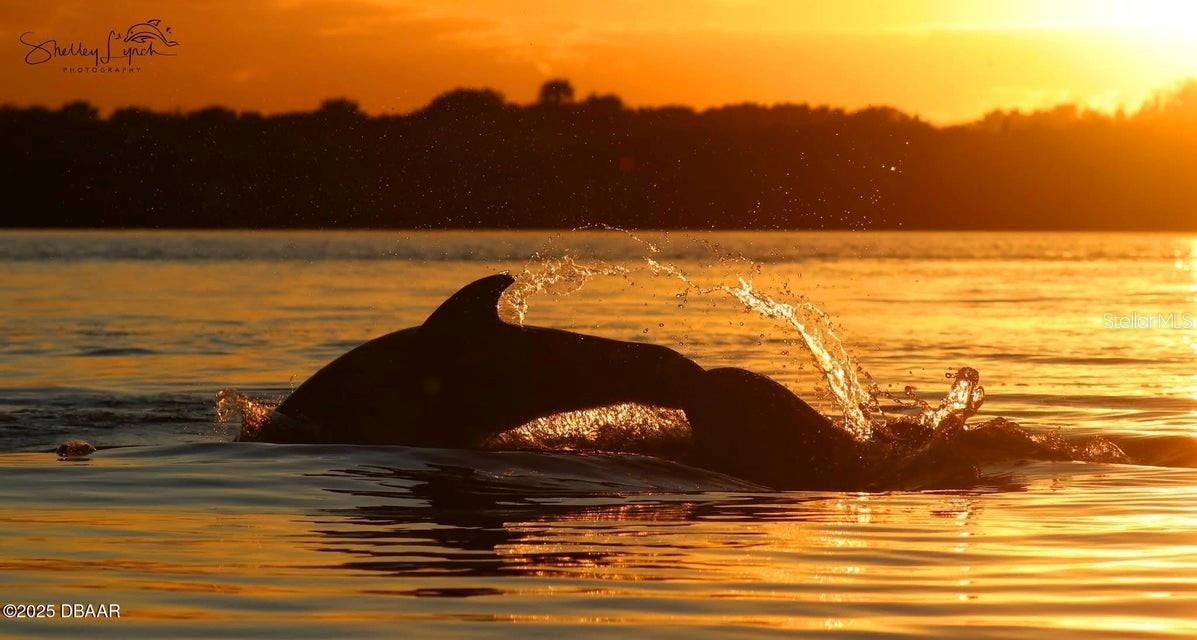 ORMOND BEACH SURFSIDE CLUB NORTH & SOUTH CONDO - Residential