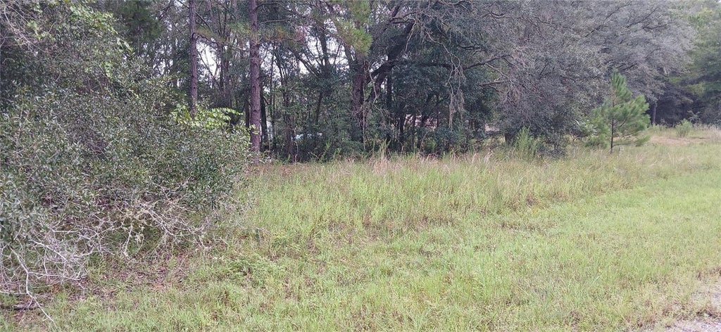 Photo of 1623 E Ivydale Drive, Citrus Springs, FL 34434 (MLS # OM731487)