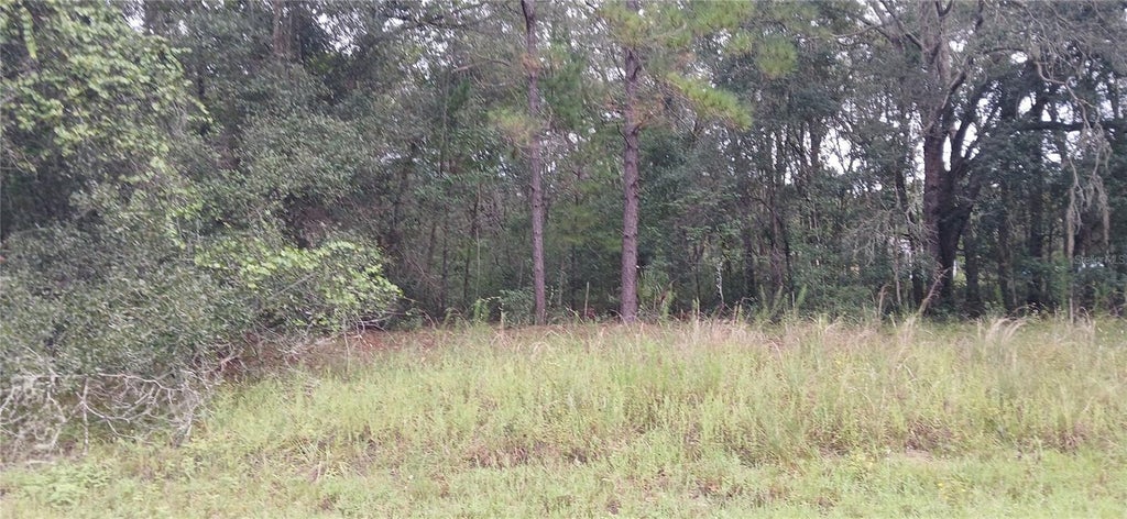 Photo of 1623 E Ivydale Drive, Citrus Springs, FL 34434 (MLS # OM731487)