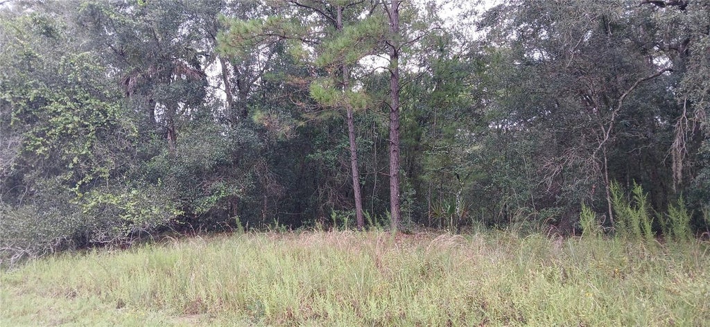 Photo of 1623 E Ivydale Drive, Citrus Springs, FL 34434 (MLS # OM731487)