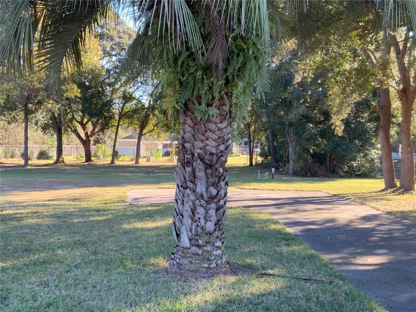 KINGSLAND COUNTRY ESTATE - Land