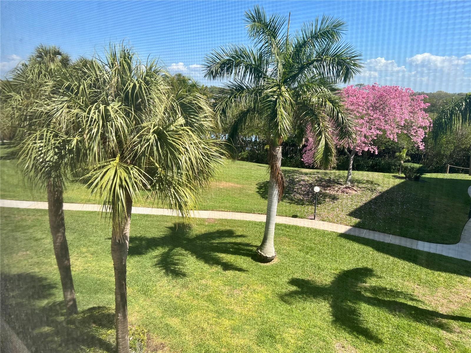 PASADENA COVE CONDO - Residential