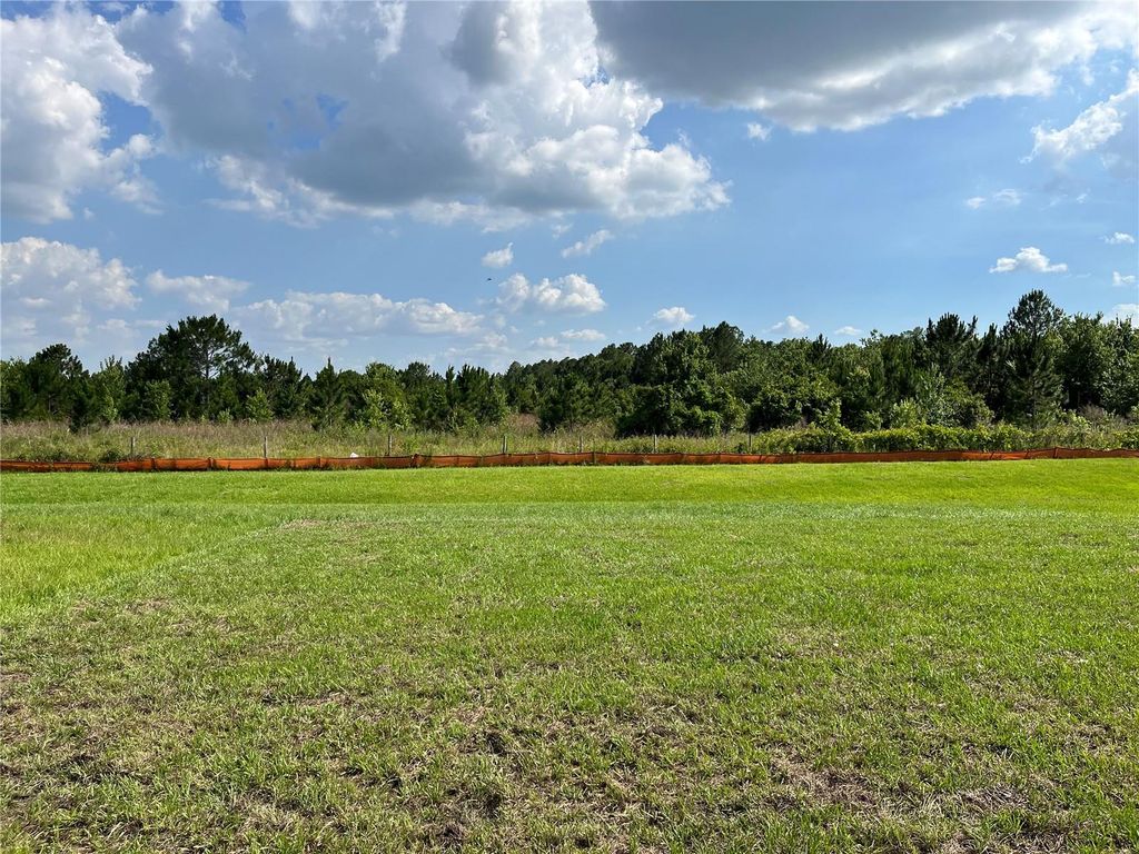 Photo of 1487 Fox Squirrel Drive, Davenport, FL 33897 (MLS # V4948573)