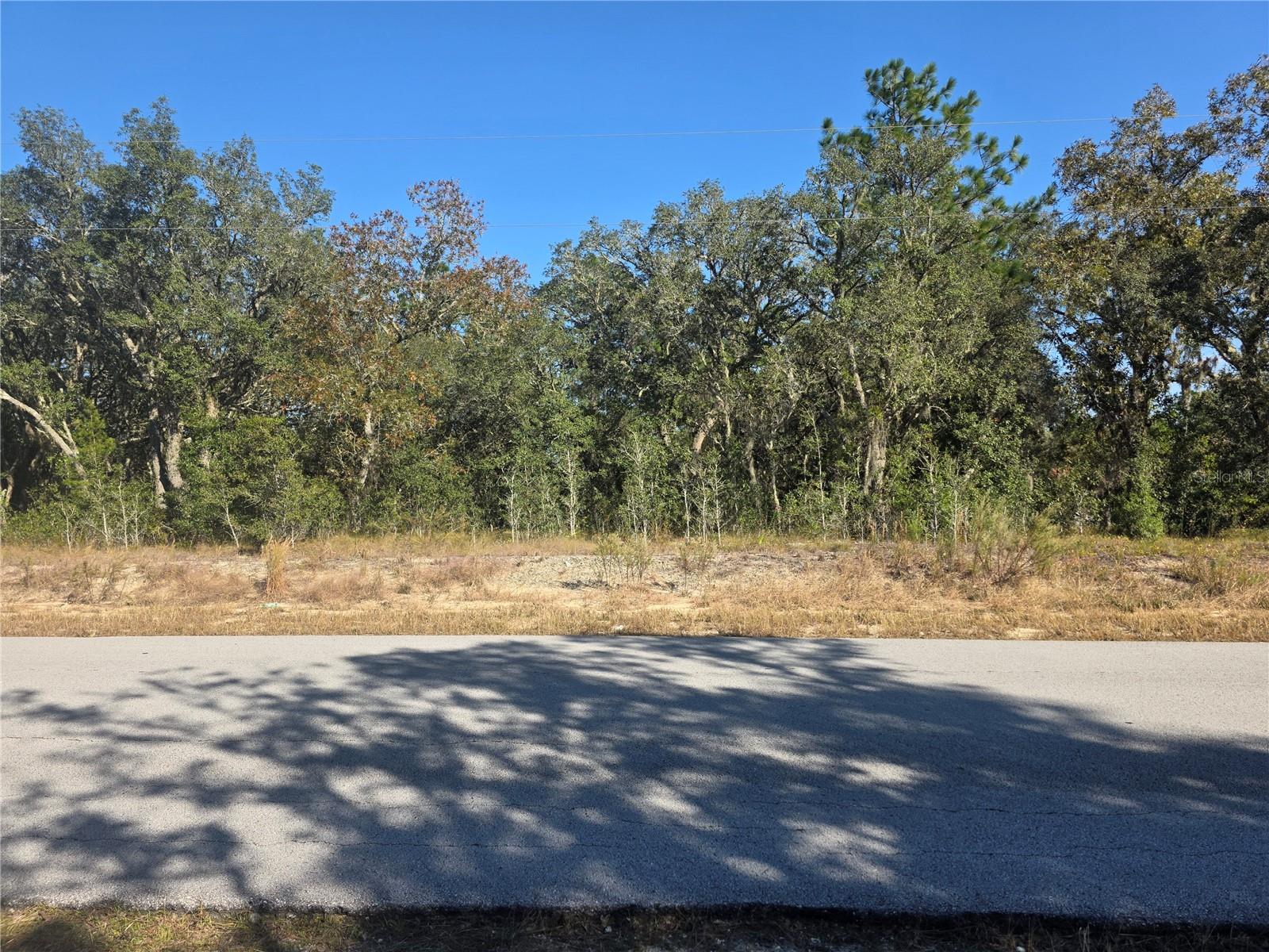 Lot 31 SW VIBURNUM ROAD