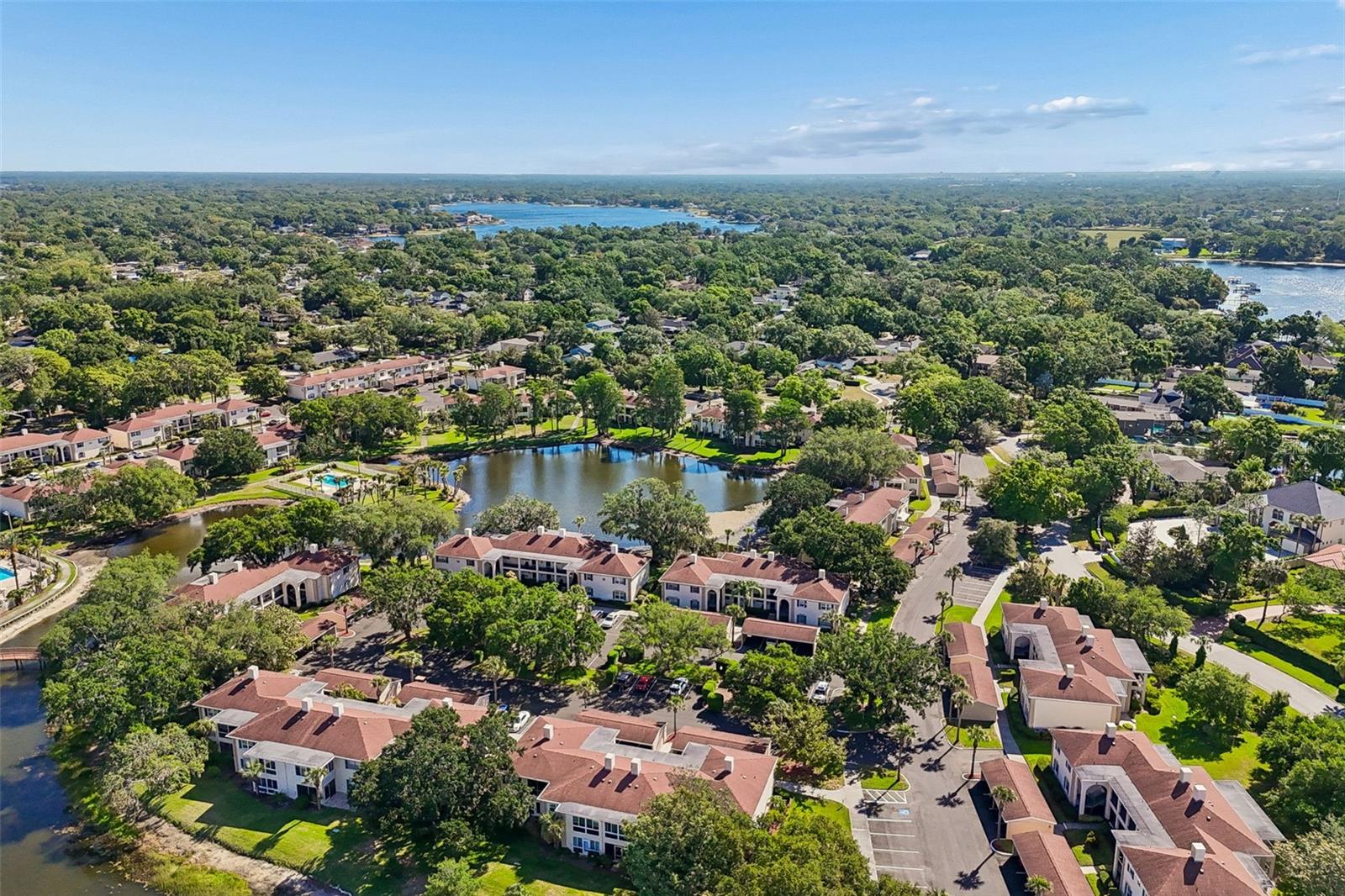 THE GRAND AT OLDE CARROLLWOOD - Residential