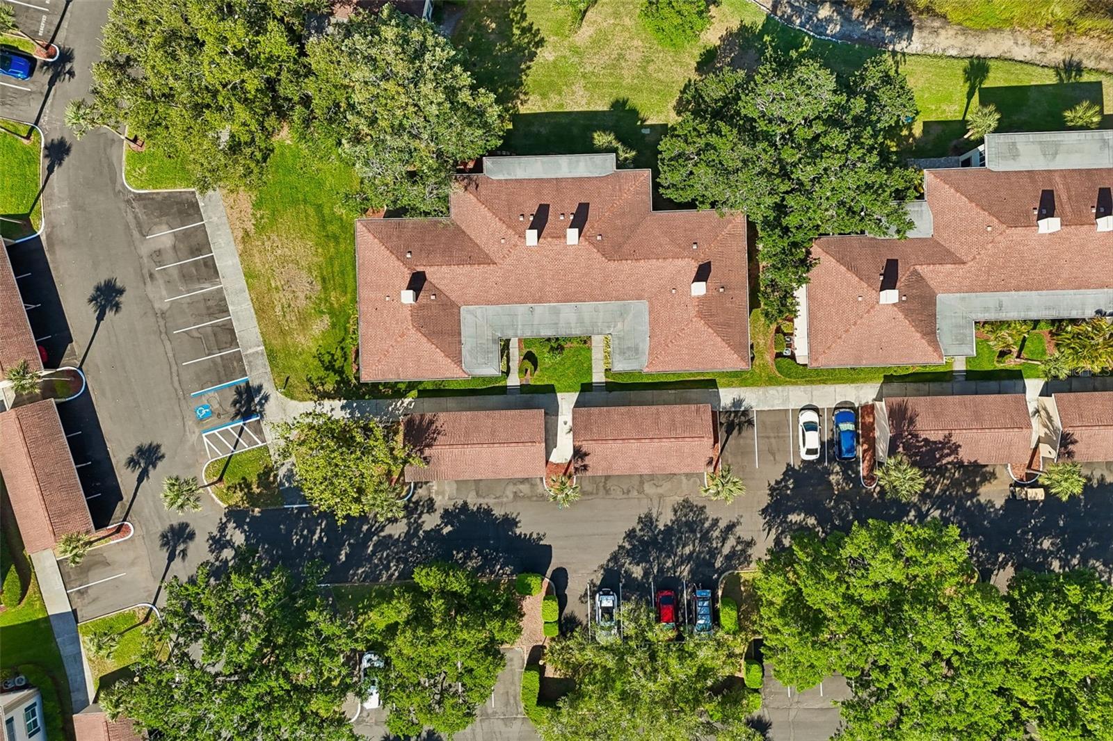 THE GRAND AT OLDE CARROLLWOOD - Residential