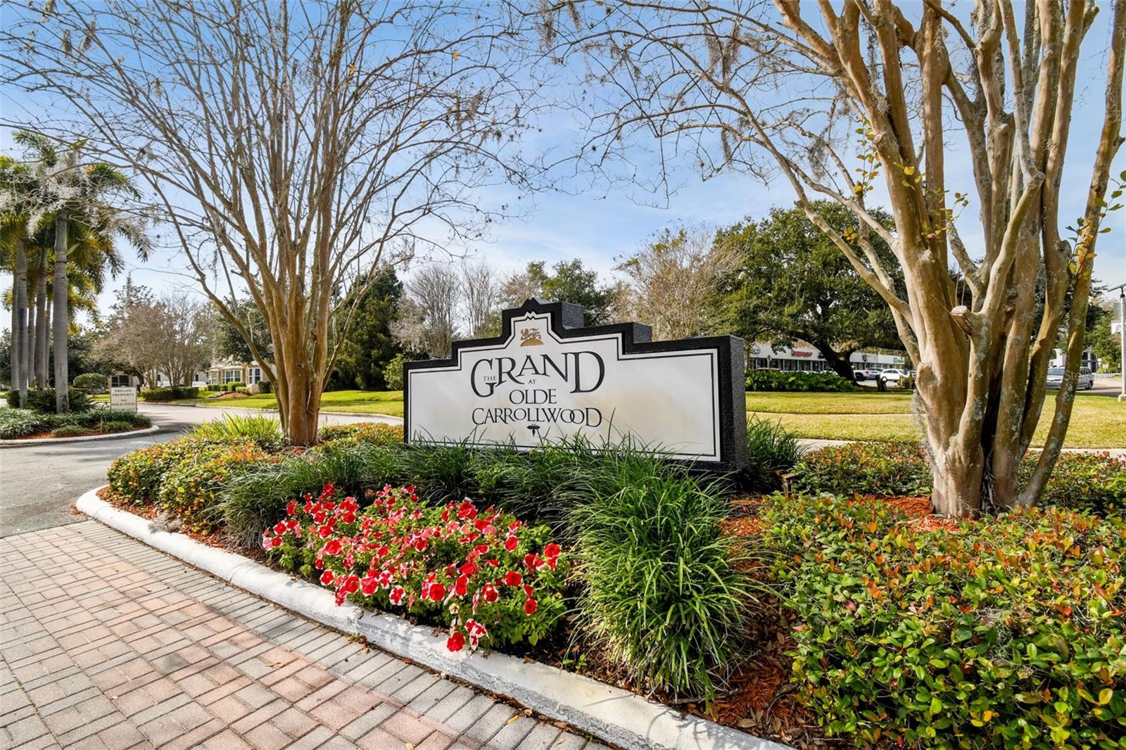 THE GRAND AT OLDE CARROLLWOOD - Residential