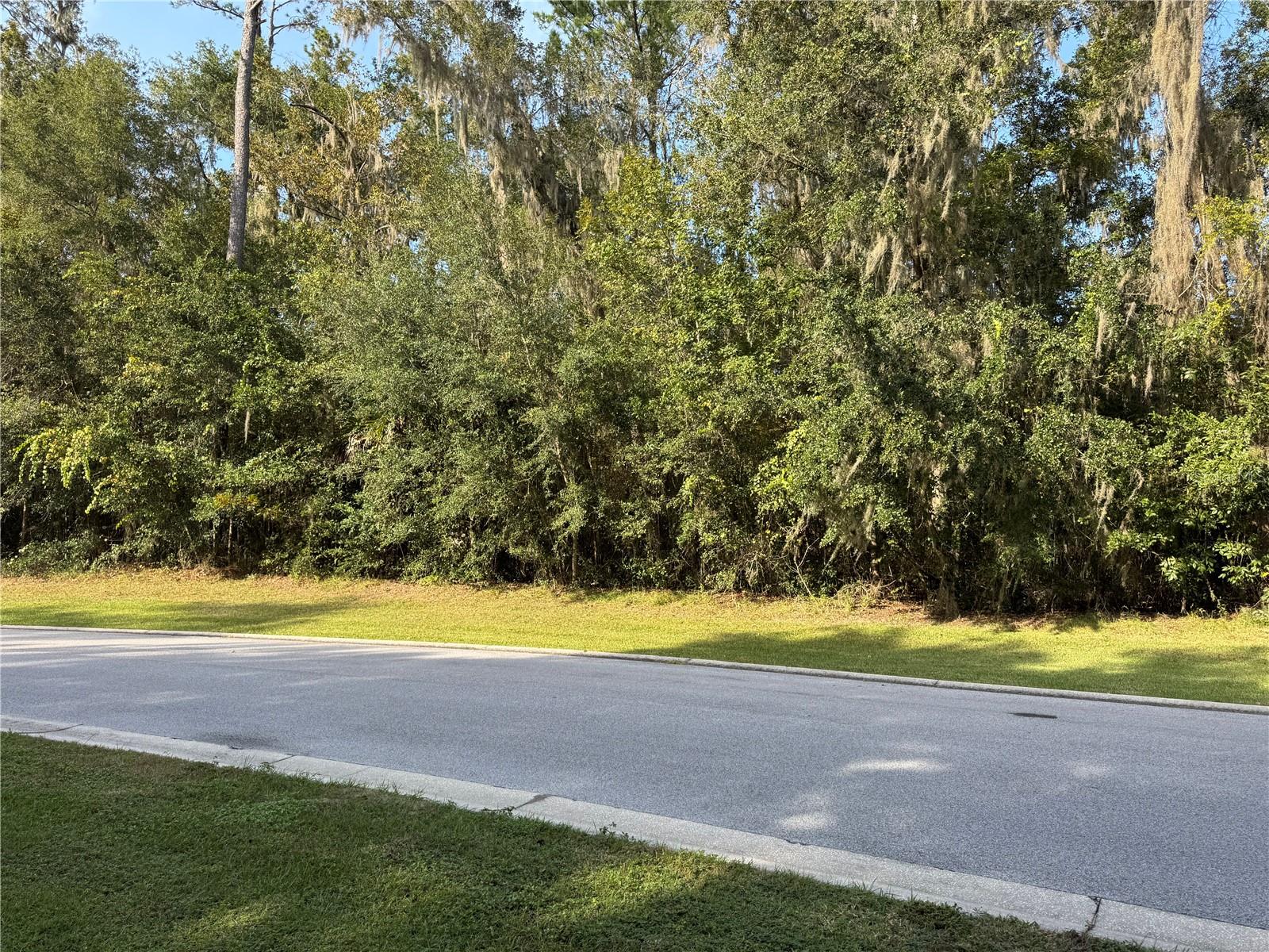 BELLECHASE HERON TRACE - Land