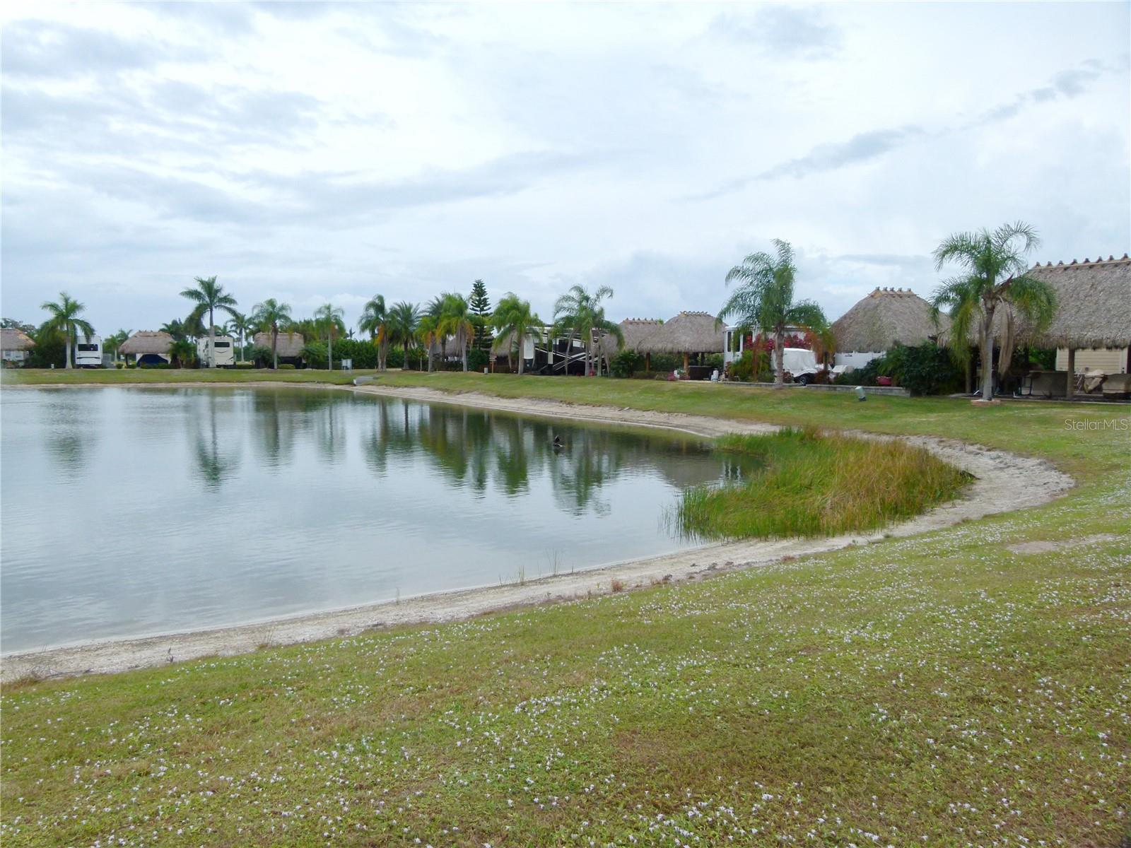 SILVER PALMS RV RESORT - Land