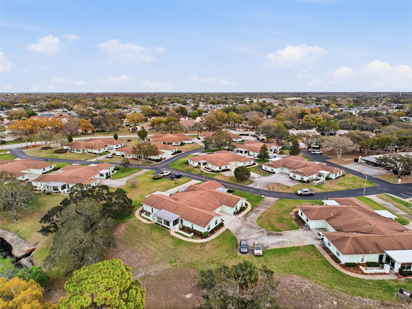 DOLLAR LAKE VILLAGE CONDO 02 - Residential