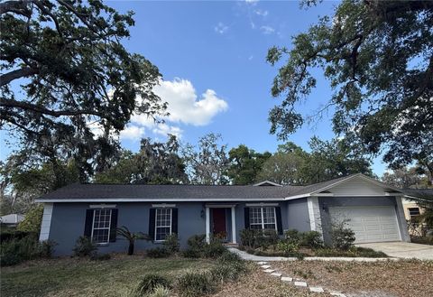 A home in TAMPA
