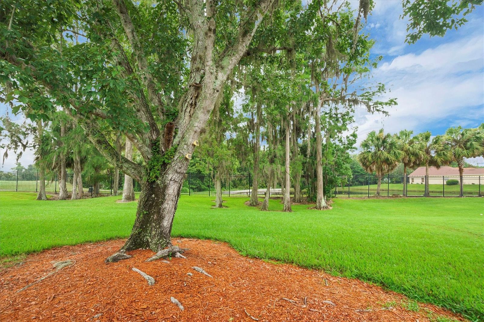 GOLF VILLAS II/POINCIANA - Residential