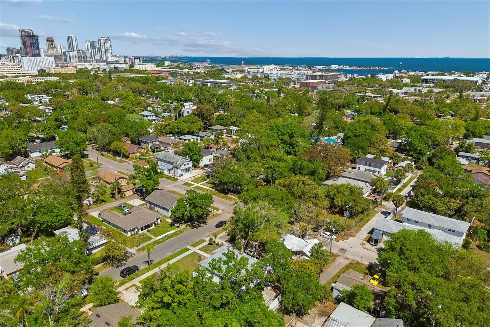 BUENA VISTA - Residential