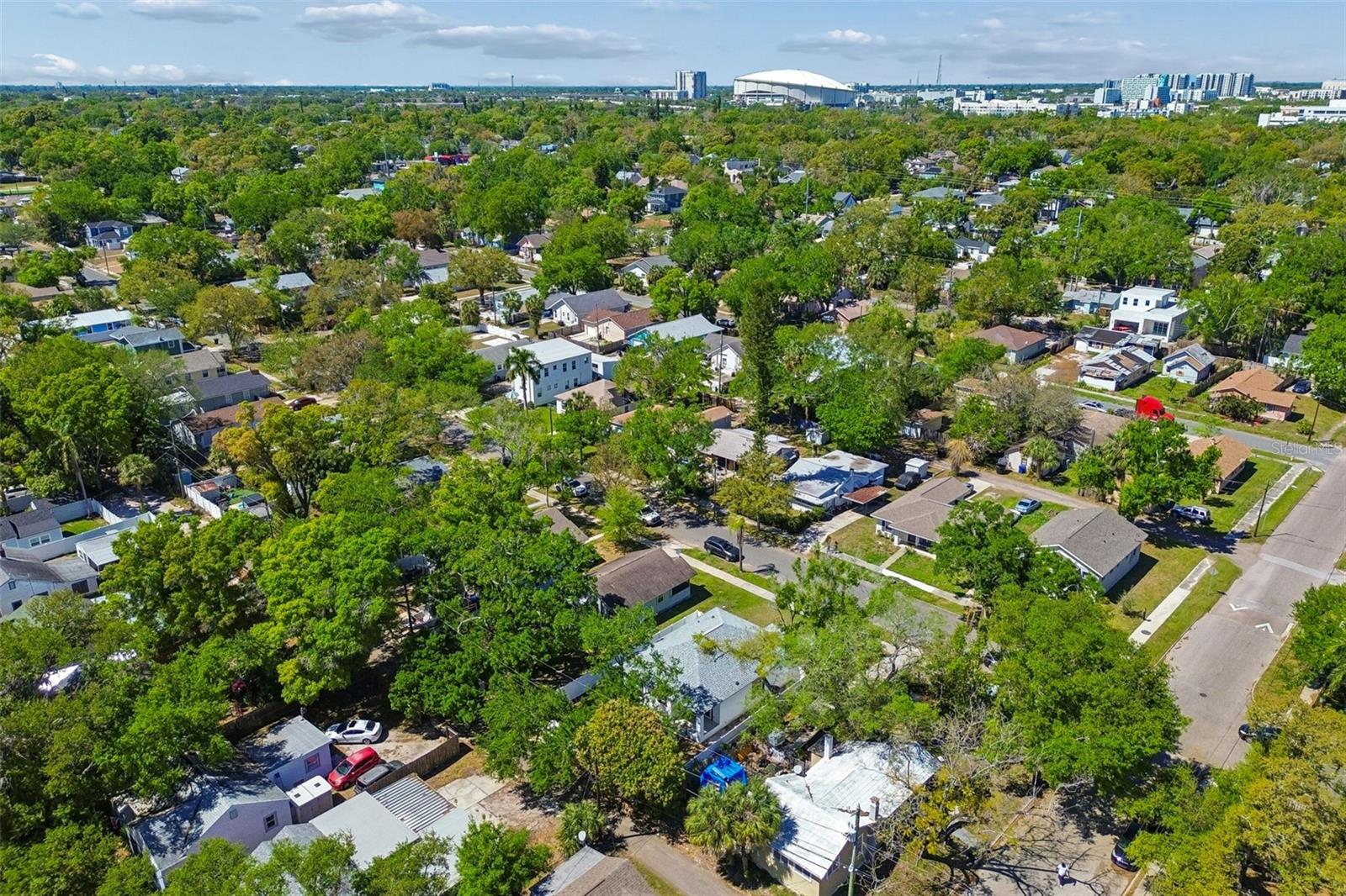 BUENA VISTA - Residential