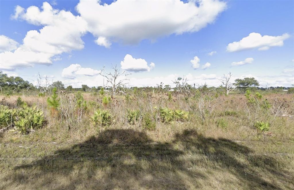 Photo of 318 Orchid Drive, Indian Lake Estates, FL 33855 (MLS # TB8488732)