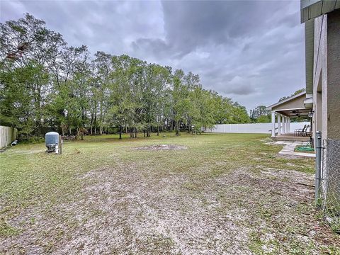 A home in LAND O LAKES