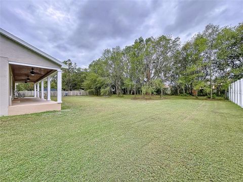 A home in LAND O LAKES