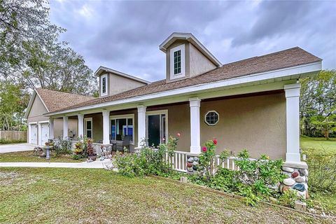 A home in LAND O LAKES