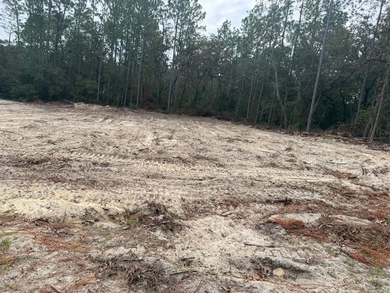 MARION OAKS UN NINE - Land