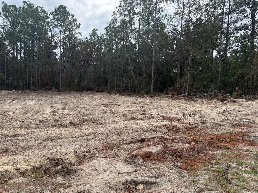 Photo of SW 66th Ave Rd, Ocala, FL 34473 (MLS # OM712517)