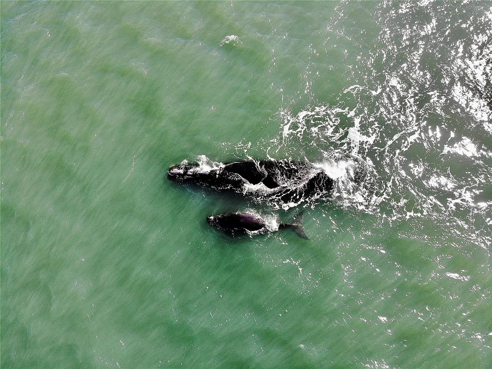 GEORGE MOODY SUB - Residential