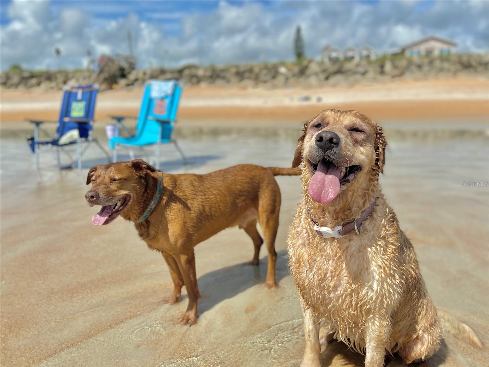 GEORGE MOODY SUB - Residential